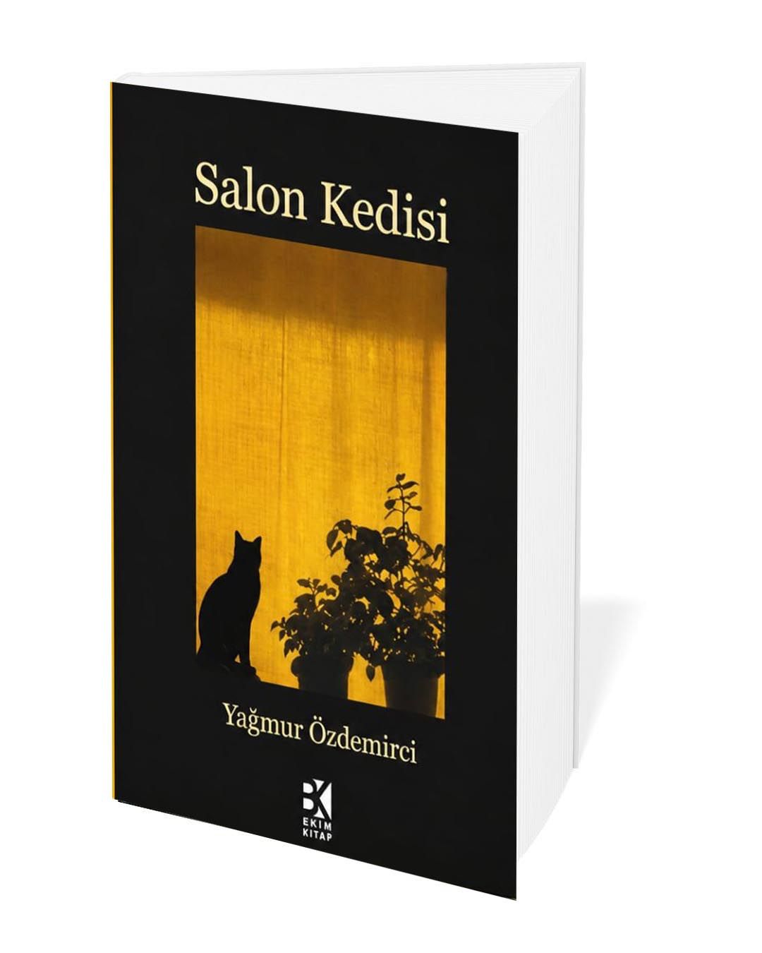 Salon Kedisi